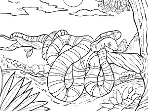  Добро јутро децо: Анаконда Деса 