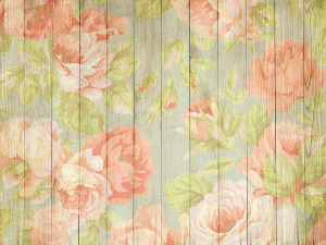 Радио драма: Дивља ружа, 1. део 