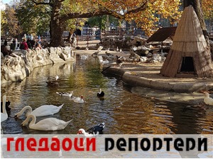 Гледаоци репортери (17. новембар 2022)