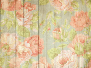  Радио драма: Дивља ружа, 2. део 