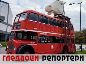 Гледаоци репортери (18. новембар 2022)