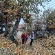 Право на сутра-Хронично ванредно стање