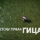 Сасвим природно-Светски првак Гица 2.део