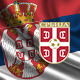 Конференција за штампу репрезентације Србије
