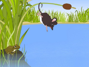  Добро јутро децо: Хемичарка 