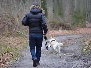 Плесом или игром са децом и љубимцима „поништите" целодневно седење