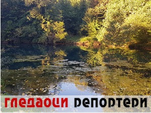 Гледаоци репортери (20. новембар 2022)