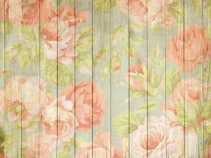 	Радио драма: Дивља ружа, завршни део