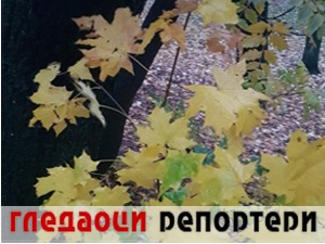 Гледаоци репортери (22. новембар 2022)