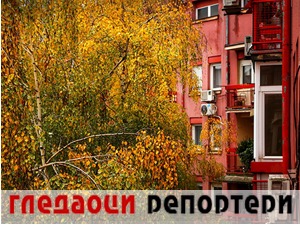 Гледаоци репортери (23. новембар 2022)