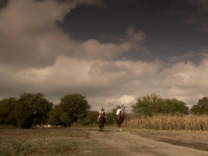  1001 Траг - Пролазе ноћи мучим се ја - Звонко Богдан 