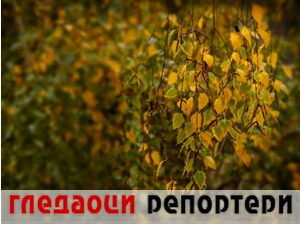 Гледаоци репортери (25. новембар 2022)