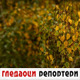 Гледаоци репортери (25. новембар 2022)