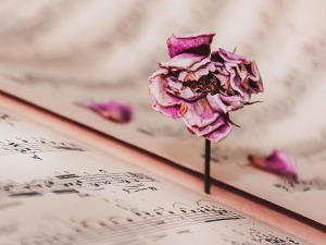 Променада - Илиџа 1969. 