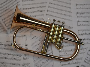 Свирај свирче - труба 