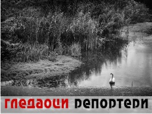Гледаоци репортери (29. новембар 2022)