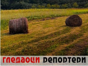 Гледаоци репортери (30. новембар 2022)