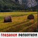 Гледаоци репортери (30. новембар 2022)