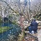 Траг-Магична лепота Хомоља