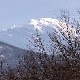 Траг-Магична лепота Хомоља