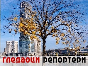 Гледаоци репортери (1. децембар 2022)