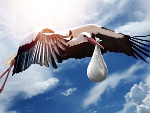 Питања која се рађају рађањем беба из 30 година смрзнутих ембриона