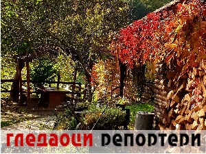 Гледаоци репортери (2. децембар 2022)