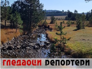 Гледаоци репортери (4. децембар 2022)