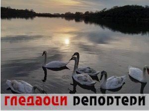 Гледаоци репортери (6. децембар 2022)