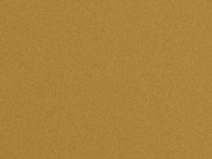 Јован Цвијић-Завештање 04