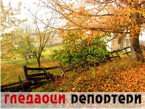 Гледаоци репортери (7. децембар 2022)