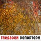 Гледаоци репортери (8. децембар 2022)