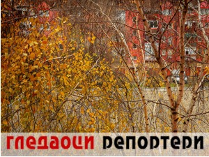 Гледаоци репортери (8. децембар 2022)