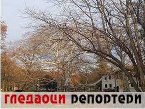 Гледаоци репортери (10. децембар 2022)