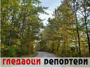 Гледаоци репортери (11. децембар 2022)
