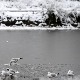Удавила се три дечака у Великој Британији, пропали кроз лед на језеру