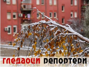 Гледаоци репортери (13. децембар 2022)