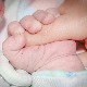 Професор Љубић објашњава зашто не стоје критике оних који су против увоза репродуктивних ћелија