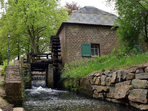  1001 Траг - Наше тајне чува воденица - Снежана Ђуришић 