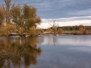 Поплаве у Беранама, Плаву, Гусињу и Андријевици