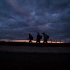 Комесаријат: Повећан број миграната из Азије и Африке, Србија наставља да се одговорно понаша