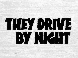 They Drive by Night