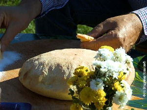 Моја лепа Србија: Стари укуси Србије