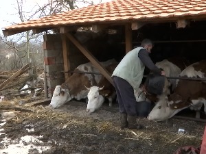 Емисија Ово је Србија и предузетници из Зрењанина обезбедили породици Петровић са Старе планине 50 тона сточне хране