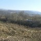 У возу било 900 тона амонијака, комисије на лицу места