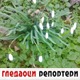 Гледаоци репортери (28. децембар 2022)