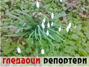 Гледаоци репортери (28. децембар 2022)