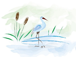 	Радио басна: Лисица и рода 