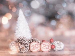 Новогодишњи Забавник