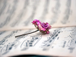 	Променада - Хит парада 1982. 